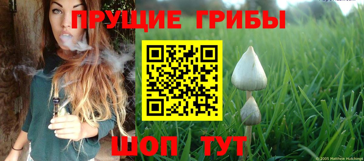 Галлюциногенные грибы Cubensis  Вход с VPN  Ступино 